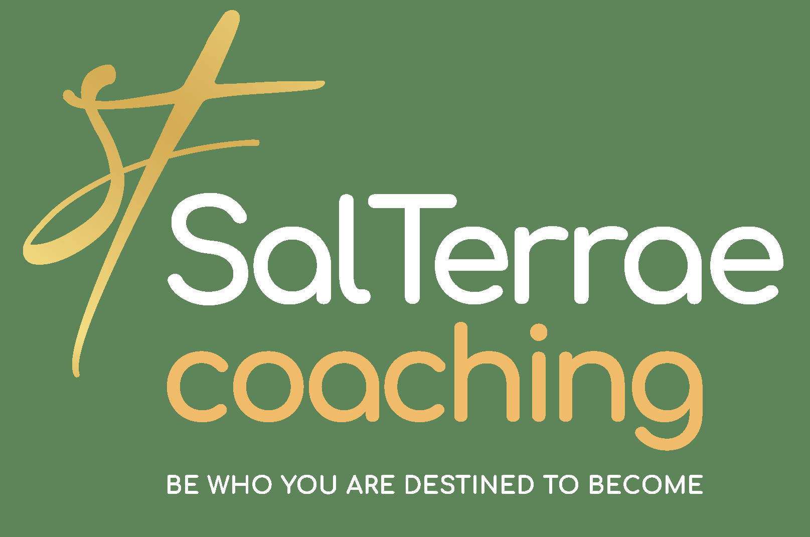 Coach en Orientation Professionnelle – SalTerrae